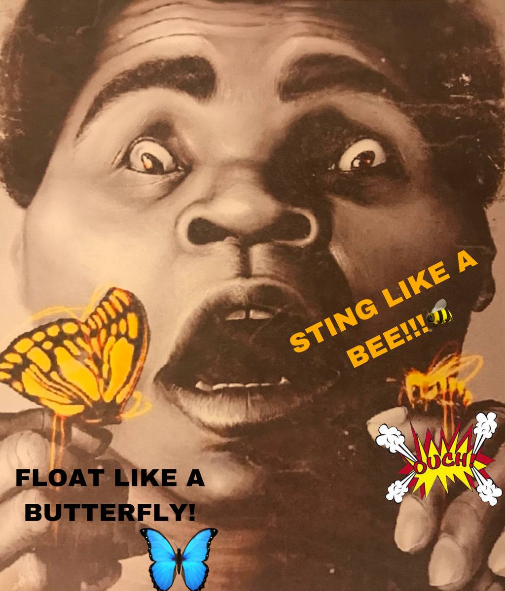 BRAND NEW!💯 MUHAMMAD ALI 8.5x11 ORIGINAL SELF CREATED ULTRA PREMIUM GLOSSY COLOR ART COMEDY WALL/LOCKER NO BORDERS FULL PAGE POSTER!🤩